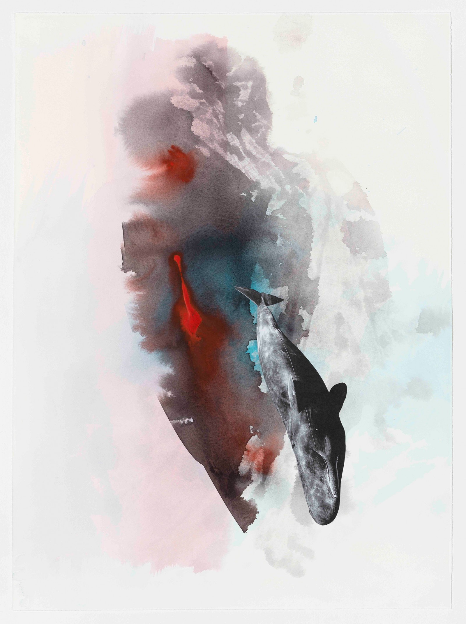 Kim Nekarda: untitled, 2021, Watercolour & Photocopy on Paper, 58 x 42 cm