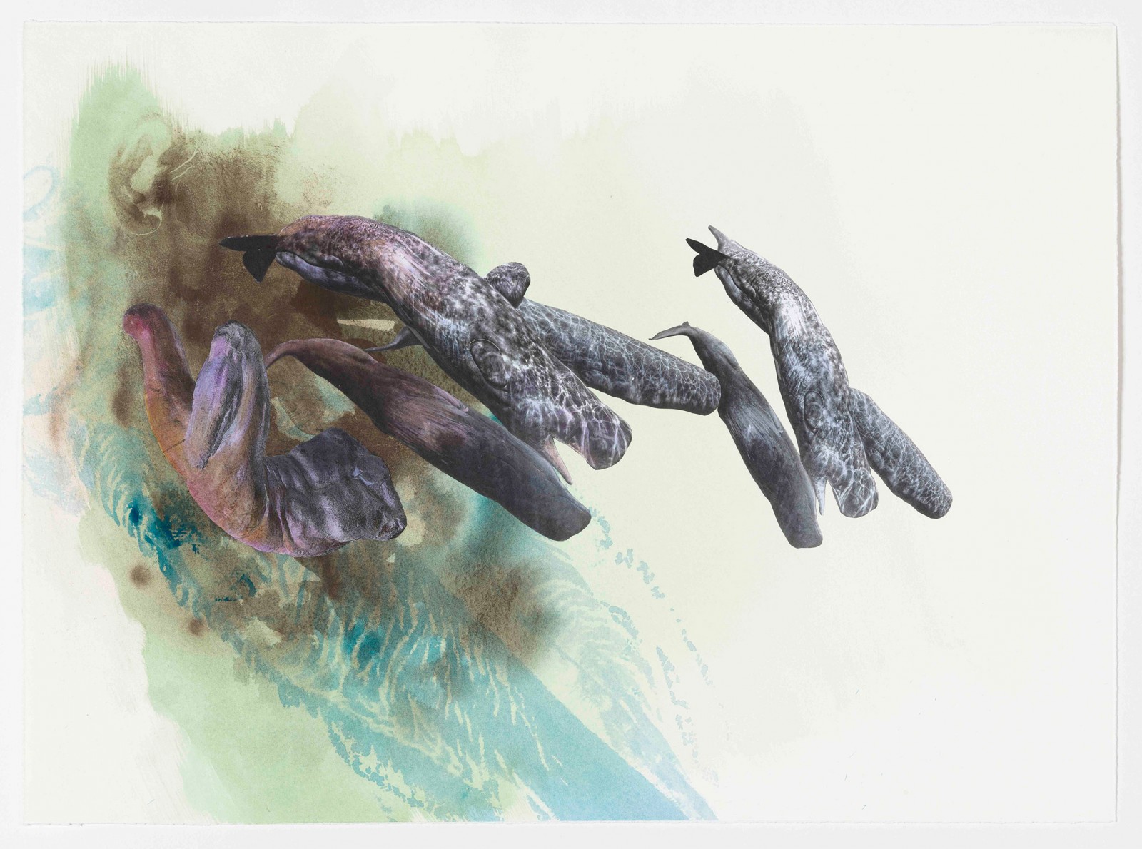 Kim Nekarda: untitled, 2021, Watercolour, Ink, Graphite, Photocopy & Body Print on Paper, 43 x 58,5 cm