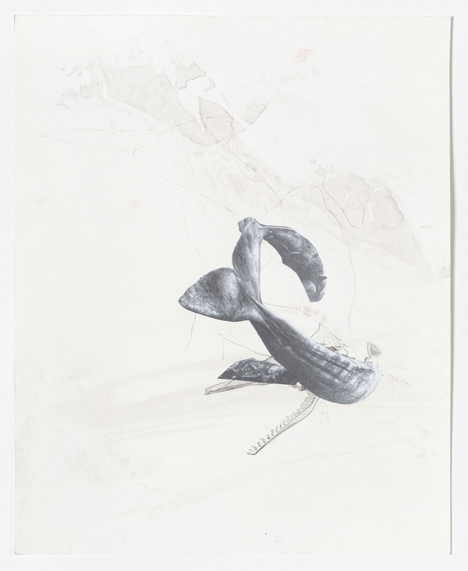 Kim Nekarda: untitled, 2021, Watercolour, Carbon, Pencil & Photocopy & on Paper, 50 x 40,5 cm