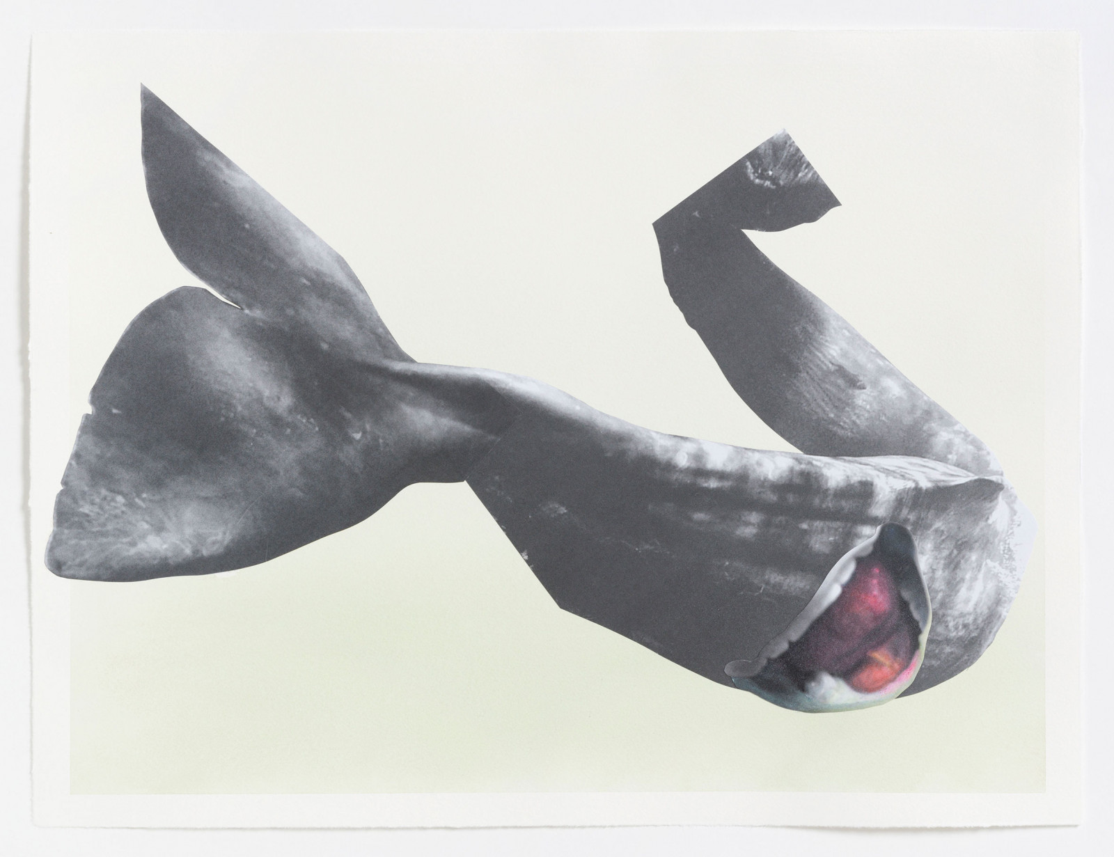 Kim Nekarda: 2023, Watercolour & Photocopy on Paper, 47 x 62,5 cm