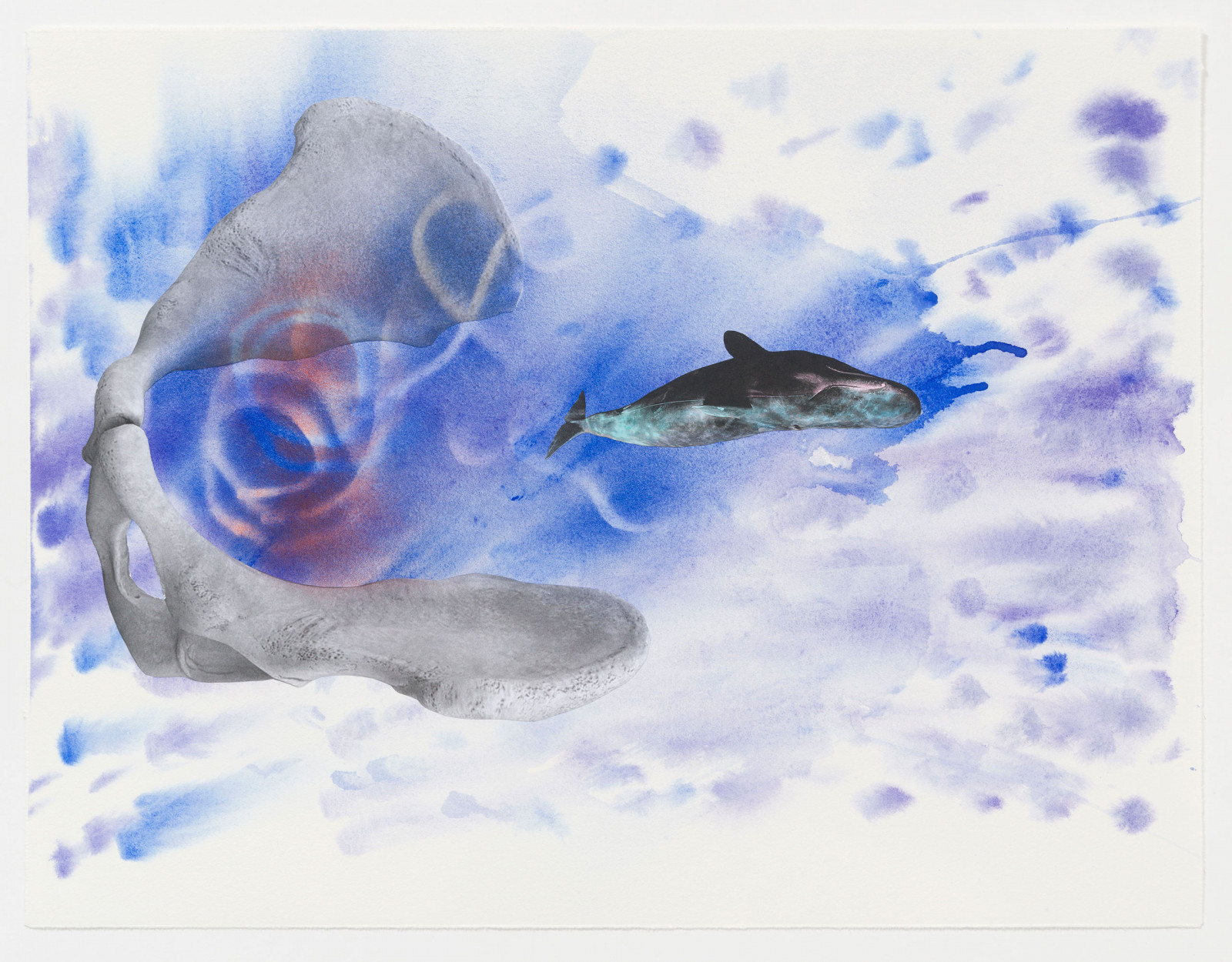 Kim Nekarda: untitled, 2023, watercolour, acrylic & photocopy on paper, 46,5 x 61,5 cm