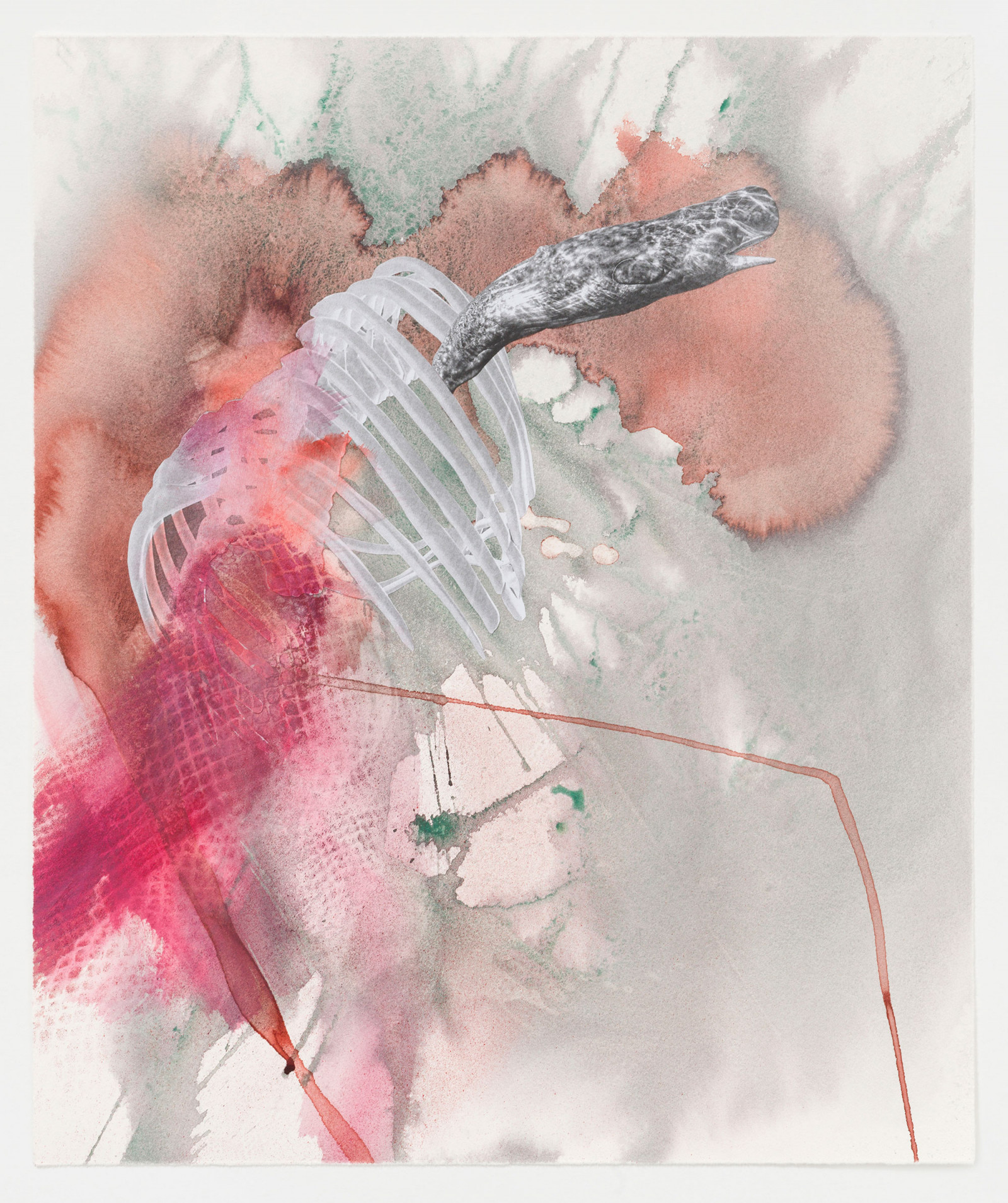 Kim Nekarda: untitled, 2024, watercolour, acrylic & photocopy on paper, 57 x 47 cm